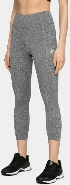 Брюки 4F NOSD4-SPDF302 р. S серый