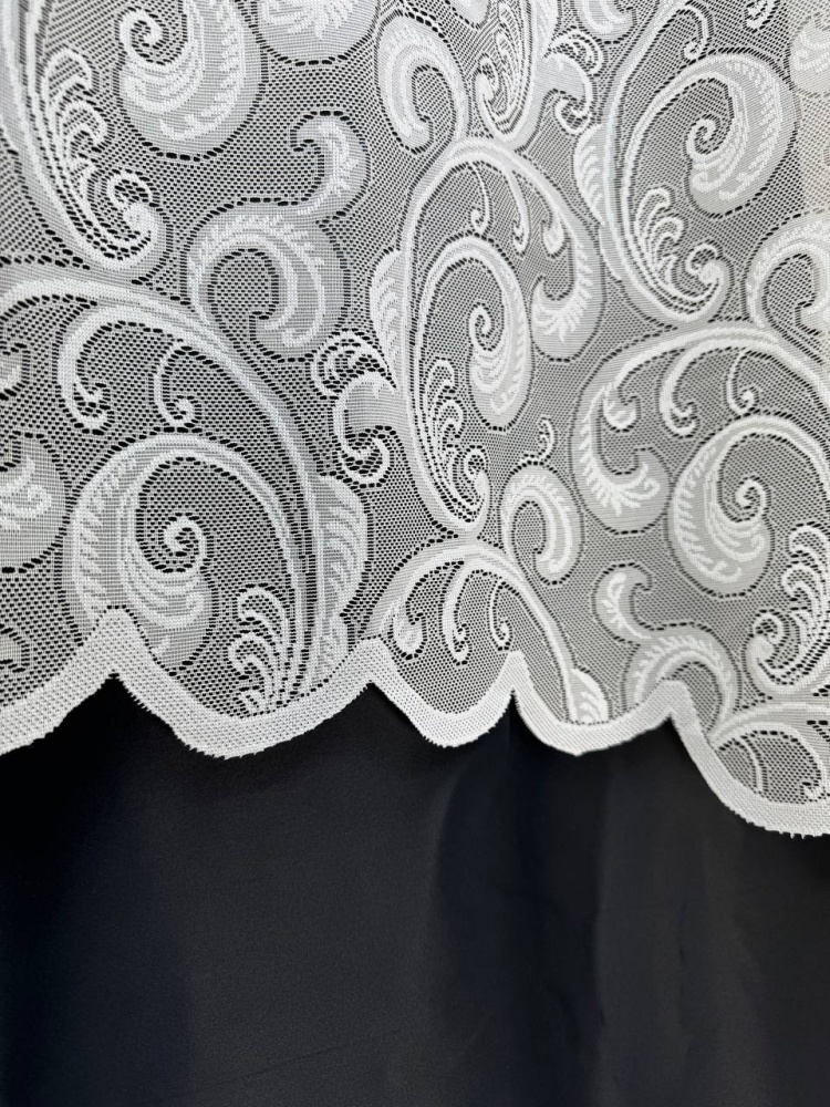 Тюль-арка Завиток 300х170 см Velvet House