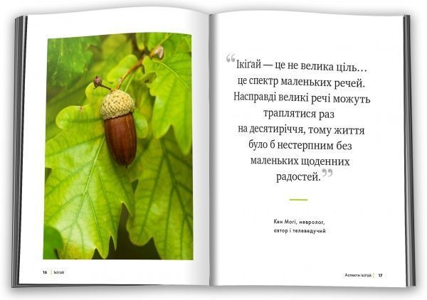 Книга Джастин Барнс «Ікіґай. Віднайдіть сенс свого життя» 978-966-948-231-0