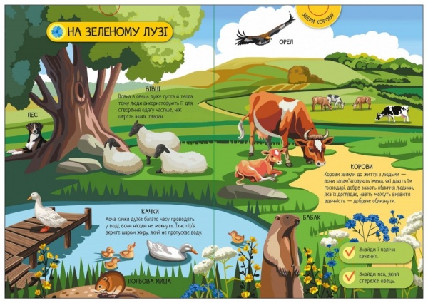 Книга Анастасия Толмачова «Свійські тварини» 9-789-667-507-817