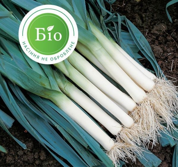 Семена Професійне насіння лук-порей Швейцарский Гигант 0,5г (4820176692597)