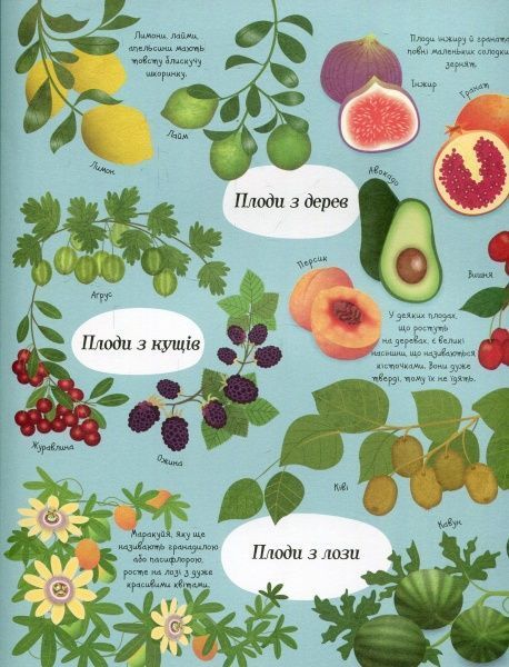 Книга Эмили Боун «Усе починається з насіння…як росте їжа» 978-617-7579-21-1