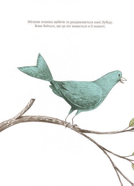 Книга «Книга Загадка животика пані Лубіду» 978-617-7537-45-7