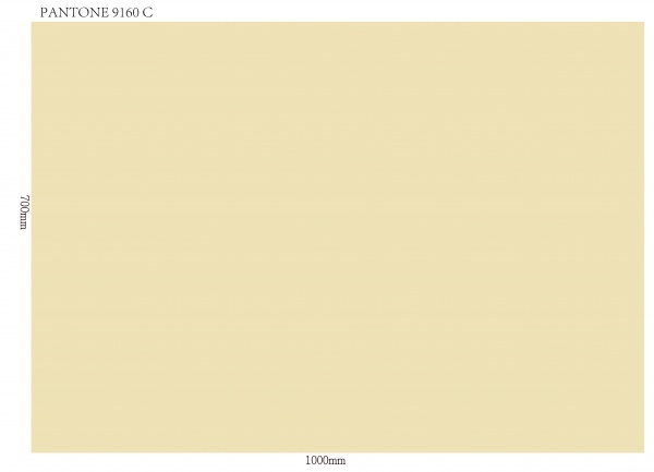 Бумага для упаковки №14 MX62711 70x100 см 