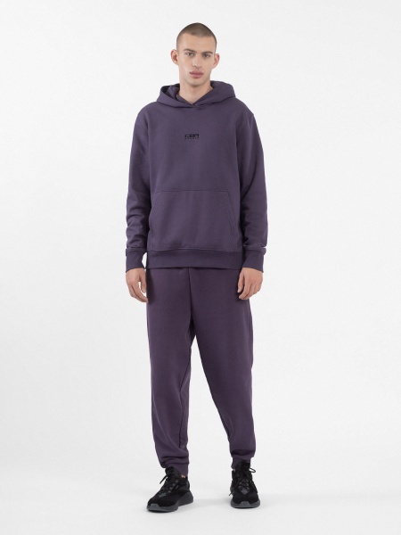 Брюки 4F TROUSERS CAS M466 4FAW23TTROM466-60S р. 3XL фиолетовый