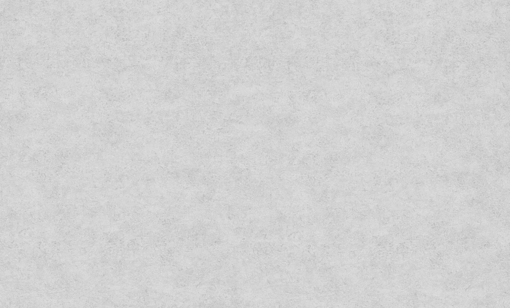 Шпалери вінілові на флізеліновій основі Bravo 81116BR09 1,06x10,05 м