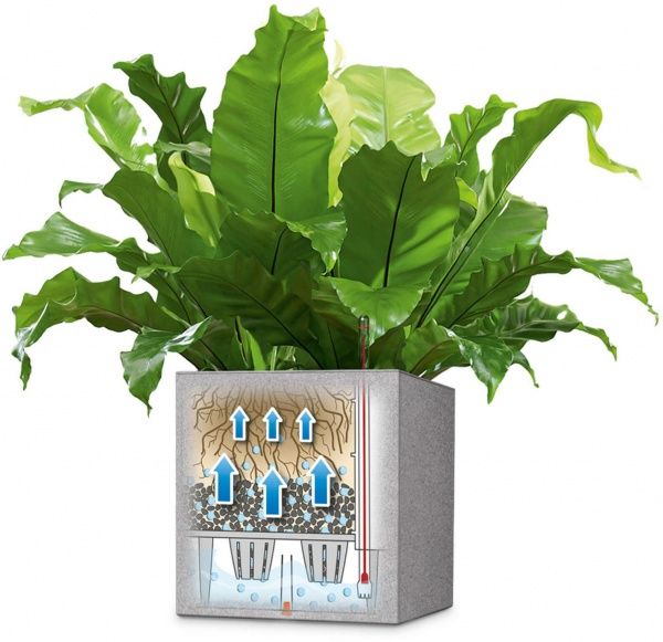 Вазон декоративный Lechuza Canto Square 40 квадратный 7л серый камень (13720) 