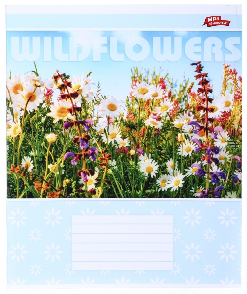 Тетрадь школьная 18 листов в клеточку в ассортименте Мечты сбываются