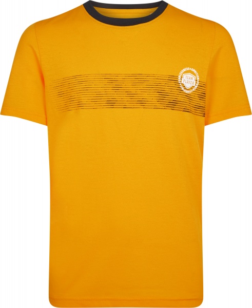 Футболка Energetics Derek II jrs 302776-182 жовтий