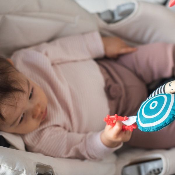 Развивающий набор Taf Toys Мечтательные коалы: Большое путешествие 12485