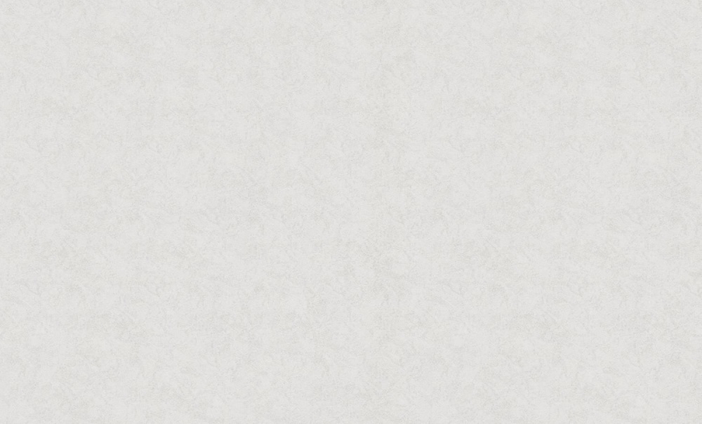 Шпалери вінілові на флізеліновій основі Bravo 81115BR00 1,06x10,05 м