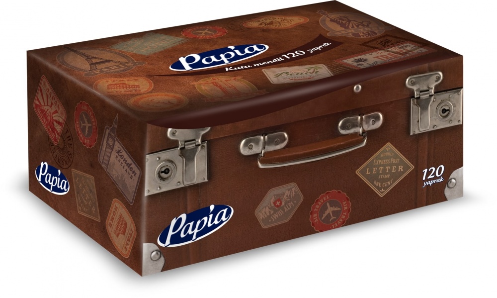 Салфетки гигиенические в коробке PAPIA 2 слоя 120 шт.