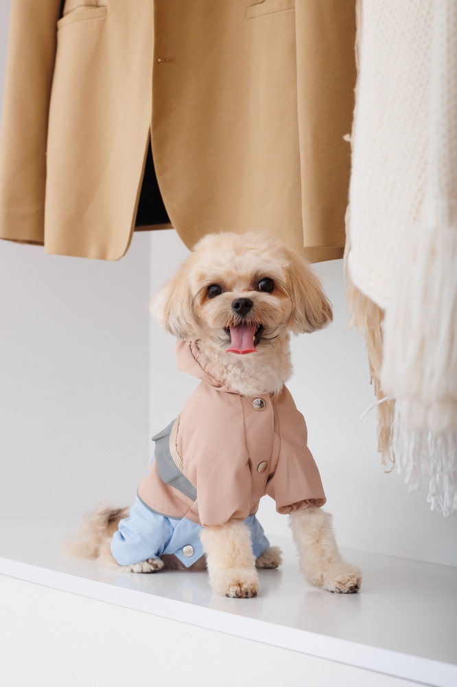 Дождевик Pet Fashion Tina S бежевый