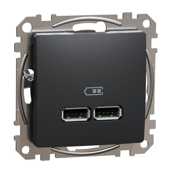 Розетка USB двойная Schneider Electric Sedna Design тип A + A 2,1A черный SDD114401