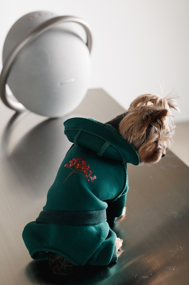 Костюм Pet Fashion Berry XS изумруд