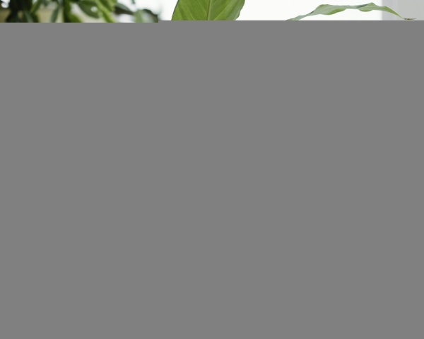 Торфосмесь универсальная Compo Complete 5 л (3184)