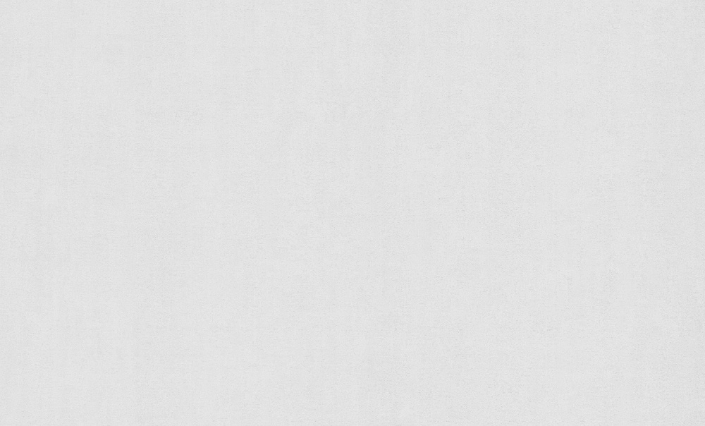 Шпалери вінілові на флізеліновій основі PROfhome РН 104 Р 10 1,06x10,05 м