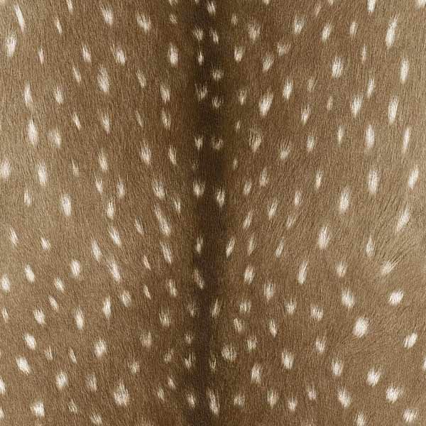 Rasch Black Forest 514810 0.53x10.05 м