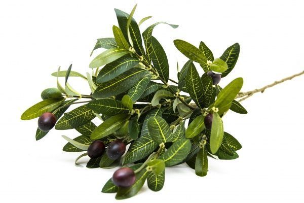 Цветок искусственный веточка Оливкового дерева с плодами 76 см