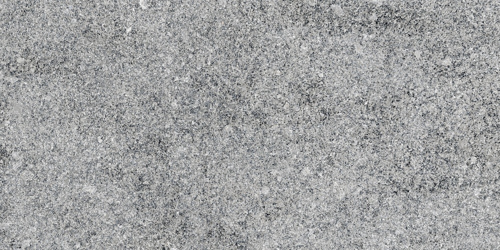 Плитка Allore Group Granito Grey F P R Mat 30х60 см