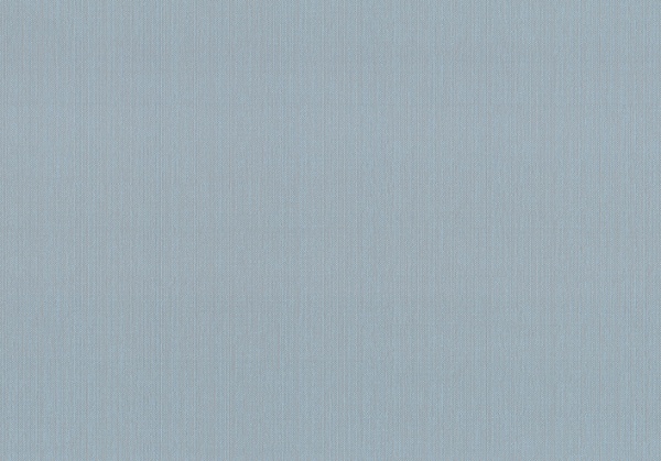 Шпалери вінілові на флізеліновій основі Vinil Денім ДХН-1421/6 1,06x10,05 м 