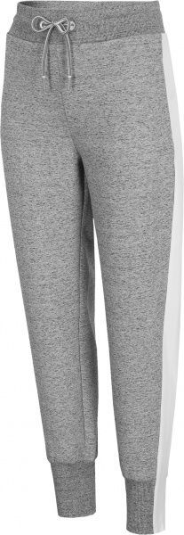 Штани 4F D4Z20-SPDD220-27M р. L сірий