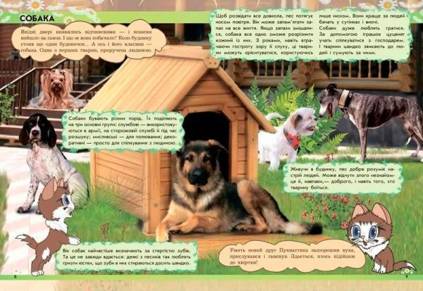 Книга Ганна Макуліна «Світ тварин. Від хом'ячка до динозавра» 978-617-09-2459-9