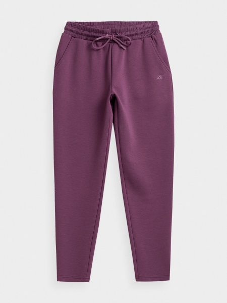 Брюки 4F H4Z21-SPDD019-50S р. S темно-фиолетовый