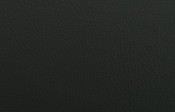 Кожзаменитель (41601023) черный