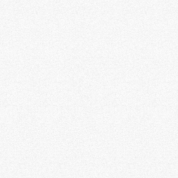 Шпалери вінілові на флізеліновій основі MEGAPOLIS 9105-00 1,06x10,05 м 