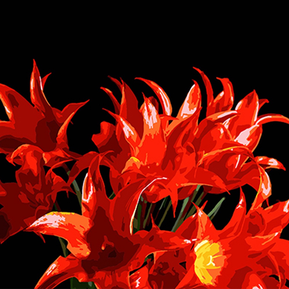 Набор для росписи по номерам Strateg на черном фоне в ассортименте 40х50 см