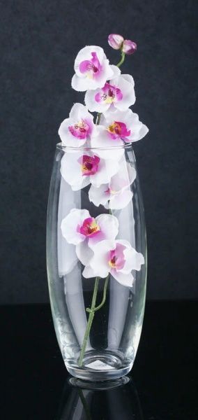 Ваза стеклянная прозрачная эллипс Х070 10х26 см