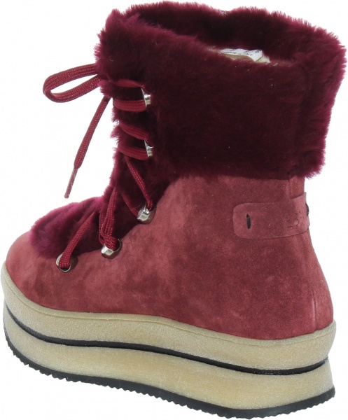 Черевики Bressan Livingo-Bor р.37 бордовий