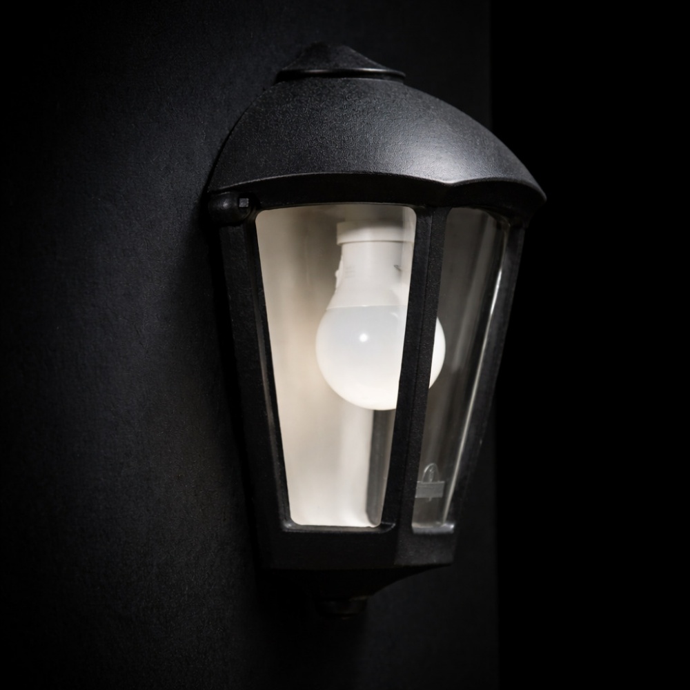 Светильник уличный настенный FUMAGALLI Fabio Smart Pack E27 12 Вт IP55 черный