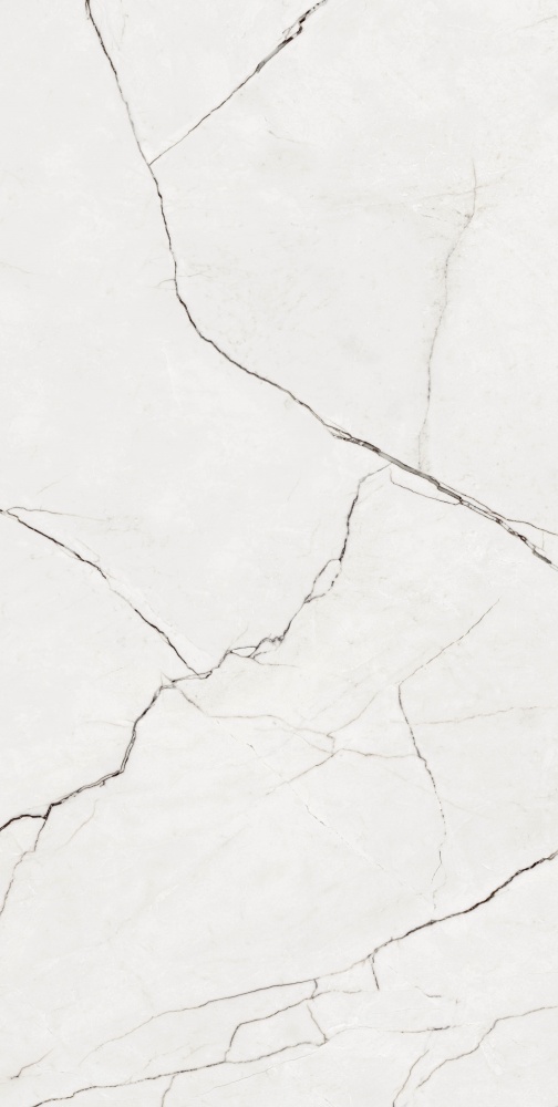 Плитка Allore Group Eleganza White F P R Full Lappato 60х120 см