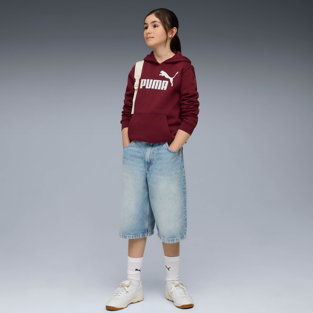 Джемпер Puma ESS No. 1 Logo Hoodie FL G 68489696 бордовий