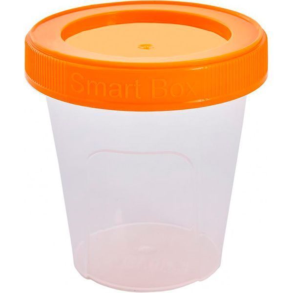 Контейнер пластиковая Алеана 124081 «Smart Box» 0,18 л светло-оранжевый