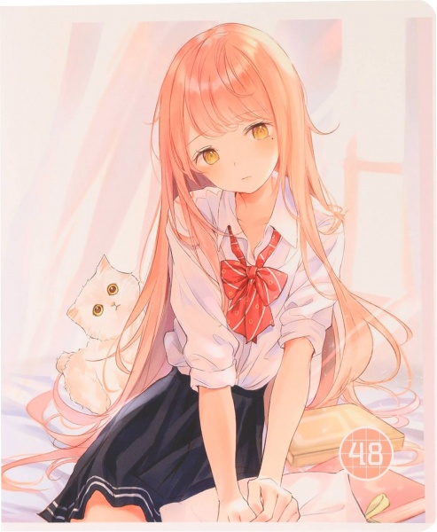 Зошит шкільний Anime скоба 48 аркушів в клітинку Мрії збуваються