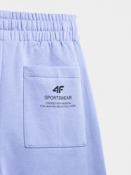 Брюки 4F 4FSS23TTROF148-52S р. XL фиолетовый