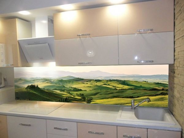 Наліпка на кухонний фартух Zatarga Долина Z180103 65x250 см