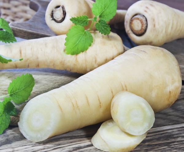 Семена Професійне насіння петрушка корневая Бенефис 1 г (4820176690708)