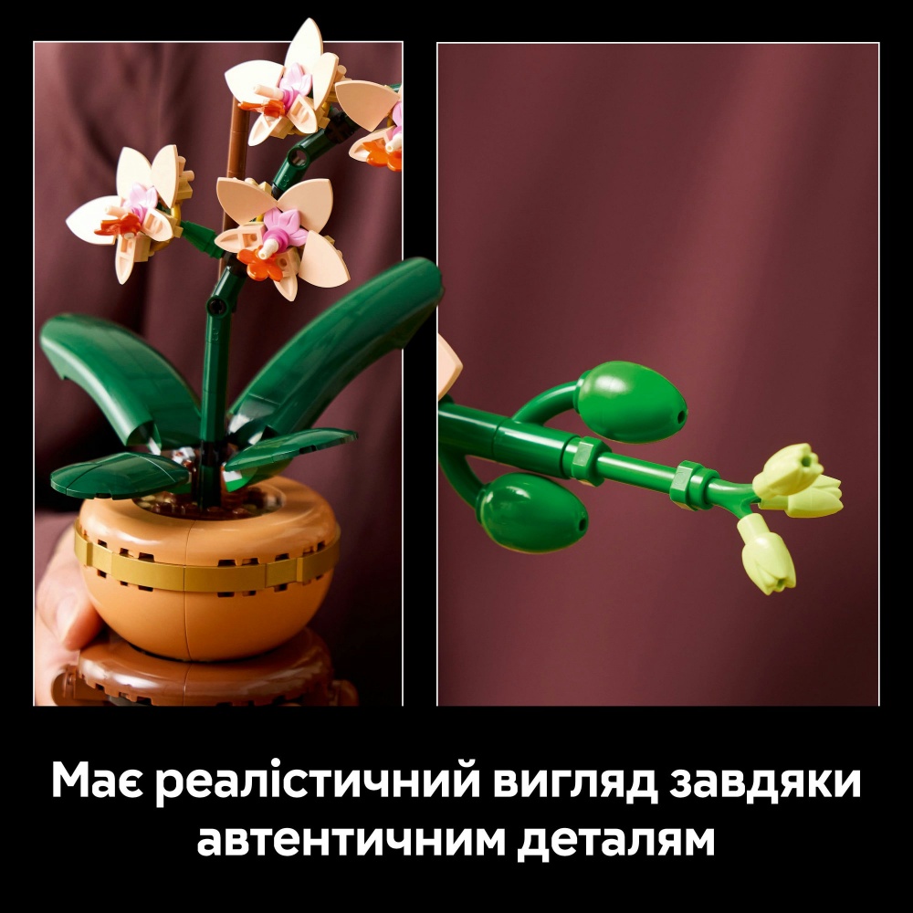 Конструктор LEGO Botanical Мини орхидея 10343