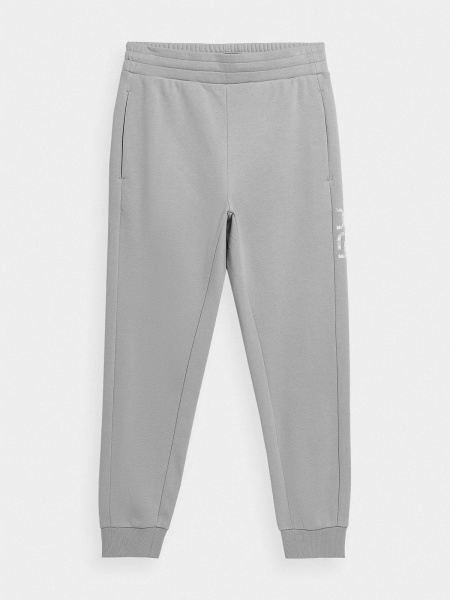 Брюки 4F RL9_TROUSERS CAS RL9SS22TTROM119-25S р. M серый