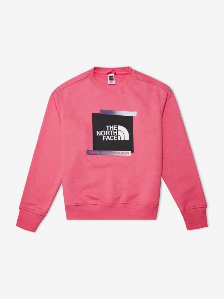 Світшот THE NORTH FACE W ES GRAPHIC CREW NF0A83FIN0T1 р. XS блакитний