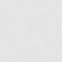 Шпалери зі спіненого вінілу Bravo категорія 538 84005BR80 1,06x10,05 м 