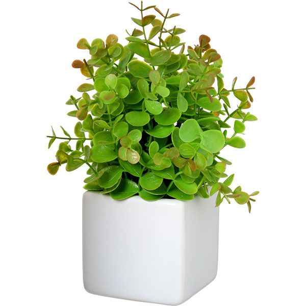 Растение искусственное Каллизия светлая XD13-27