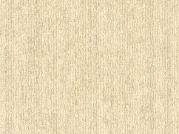 Виниловые на флизелиновой основе Славянские обои Le Grand platinum Августин 2 4513-02 1,06x10,05 м