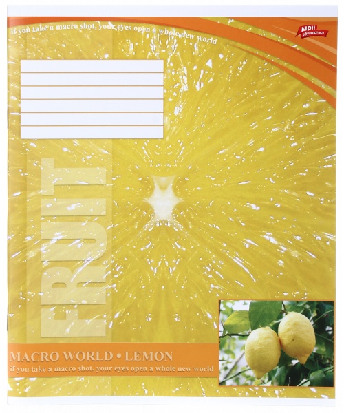 Тетрадь школьная 18 листов в клеточку в ассортименте Мечты сбываются