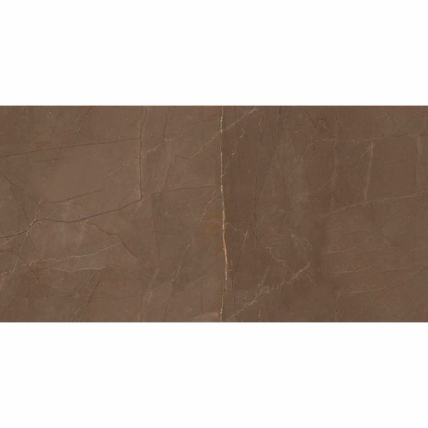 Плитка Allore Group Pulpis Brown W M NR Glossy 31x61