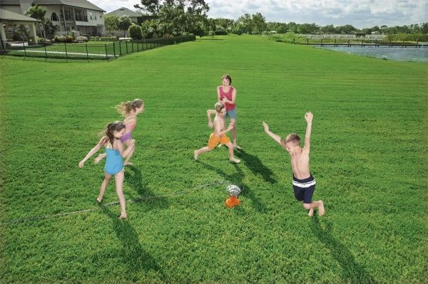 Игрушка-брызгалка Bestway Водоворот с кольями 3 шт.